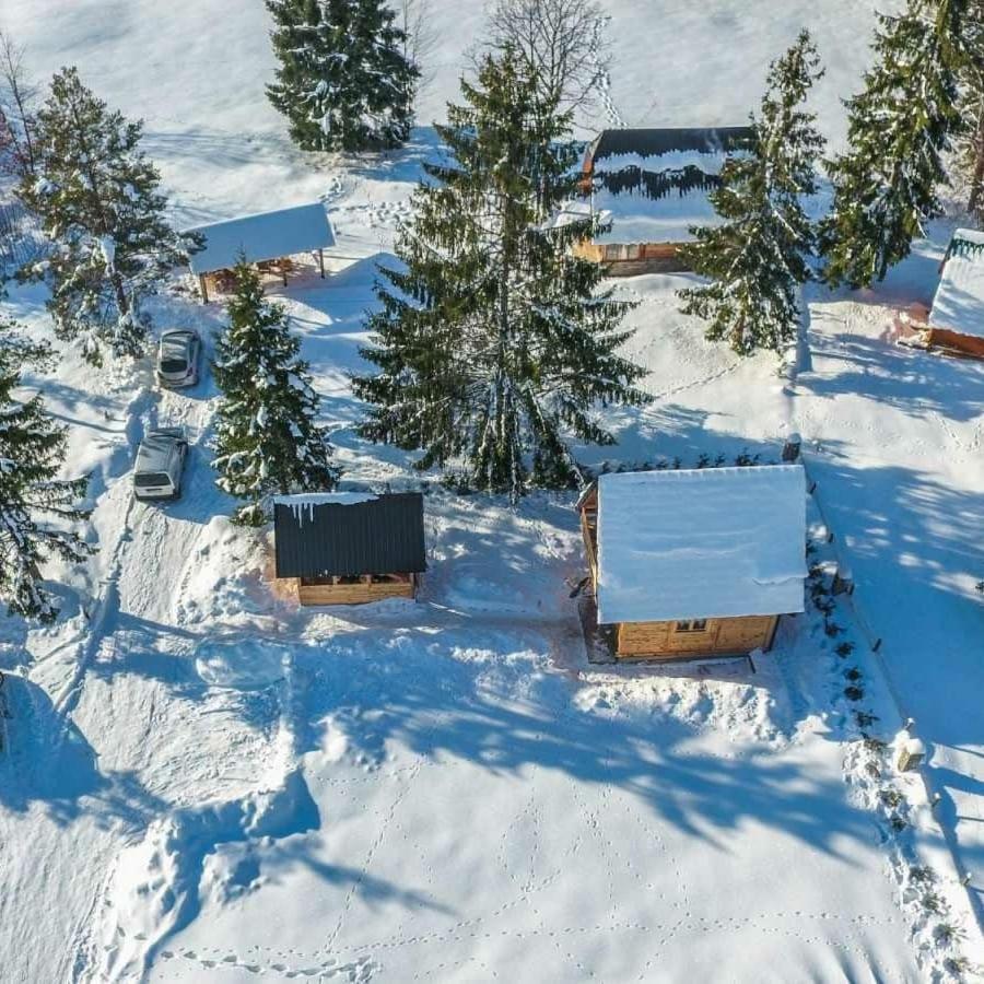 Villa Tisina Tare Bajina Basta Exterior foto