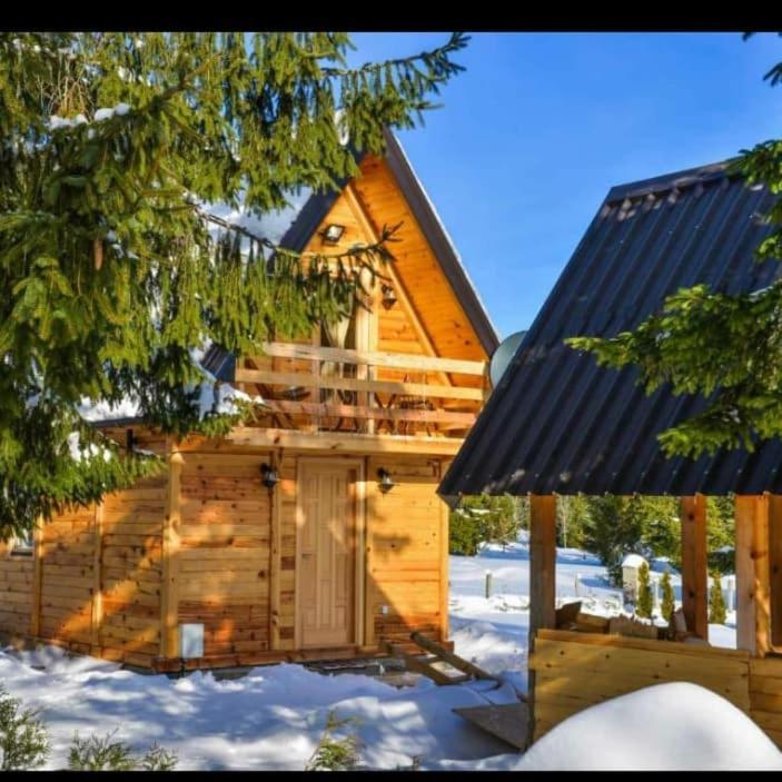 Villa Tisina Tare Bajina Basta Exterior foto